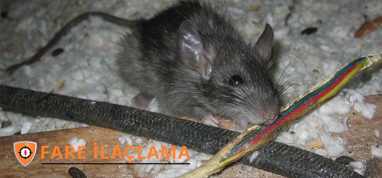 fare-ilaclama